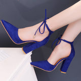 2025 New Big-Size Women's Shoes High Heel Thick Heel Strap With Pointed Shallow Sandals Women's Shoes HZ0115