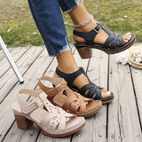 Sandals Women 2025 Summer New Solid Color Fish Mouth Thick Heel With High-Heeled Sandals HZ0115