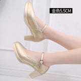 Painted Leather Tip Tip 15CM Catwalk Ultra-High Heel Women's Thick-Sed Waterproof Table Single Shoe With Shallow Model Performance Shoes HZ0115