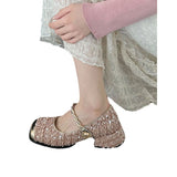 Mary Jane French Fragrant High Heels 2025 Spring New Lequin Evening Wind Single Shoes Fashion Leather Shoes HZ0115