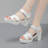 Painted Leather High Heel Waterproof Sandals Women Fashion Crocodile Pattern Walking Shoes Summer Coarse Heel Magic Sticky H Women's Shoes HZ0115