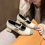 High-End Casual High-Retro French Single-Shoe Small Scented Silver Lily One-Word Temperament Light-Mouthed Mary Jane Shoes HZ0115