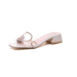 2025 New Metal Buckle Korean Version Of Cool Drag Fashion Korean Version Coarse And Flip-Flops Women's Summer Wear HZ0115