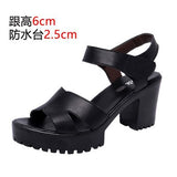 Painted Leather High Heel Waterproof Sandals Women Fashion Crocodile Pattern Walking Shoes Summer Coarse Heel Magic Sticky H Women's Shoes HZ0115