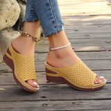Sandals Women Large-Size Slopes And Summer New Fish Mouth Hollow Breathable Wear Thick-Bottomed Slippers Women HZ0115