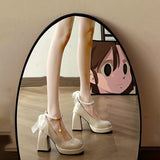 Thick Bottom French Mary Jane Shoes Women High Heel Niche Design Temperament High-End Feel Lolita Coarse Leather Shoes Women Shoes HZ0115
