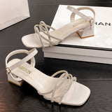 Water Drill Sandals In Women's Sandals 2025 Summer New Thick Heel With Buckle Fairy Wind Toess Sandals HZ0115