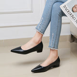 Simple Pointed Light-Mouthed Square Heel Small Leather Shoes Women Business And Leisure Elegant Commute Single Shoes Fashion High Heels Women Four Seasons HZ0115