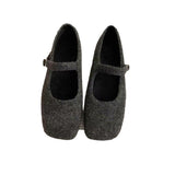 Korean Version Of 100 With Skirts Mary Jane Shoes 2025 Winter Explosion Of Waste Soil Mary Jane Women's Shoes Coarse Heel Single Shoes HZ0115