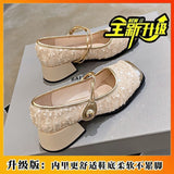 Mary Jane French Fragrant High Heels 2025 Spring New Lequin Evening Wind Single Shoes Fashion Leather Shoes HZ0115