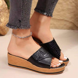 2025 Spring And Summer New Slope And Slippers Women Solid Color Leisure PU Crocodile Skin Surface Cold Drag HZ0115