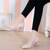 Women's Shoes 2025 New Autumn Korean Version Of The Pointed-Headed Single Shoes Women's Thick Heel Sexy High Heels Professional Shoes HZ0115