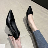 Non-Tired High Heels Fine Heel 2025 New French Commuting Work Career Black Single Shoes Soft Leather Women's Shoes Spring HZ0115