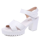 Painted Leather High Heel Waterproof Sandals Women Fashion Crocodile Pattern Walking Shoes Summer Coarse Heel Magic Sticky H Women's Shoes HZ0115