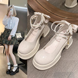 Mary Jane Shoes Women Spring And Autumn New High Heels French Coarse Heel Shoes Thick Sole Small Leather Shoes HZ0115