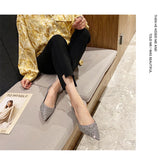 Champagne Wedding Shoes Bridal Shoes In The Summer Of 2025 New Silver Engagement Low Heels Do Not Tired Singles Women HZ0115