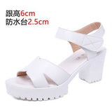 Painted Leather High Heel Waterproof Sandals Women Fashion Crocodile Pattern Walking Shoes Summer Coarse Heel Magic Sticky H Women's Shoes HZ0115