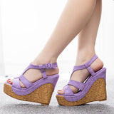 12 Cm Wood Grain Heel Slope And Fish Mouth Sandals Large-Size Slope And Water Table Hollow Sandals Female Quality Sandals HZ0115