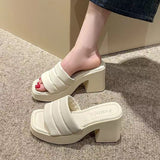 Pine Cake Thick Bottom Cool Slippers Women Wear 2025 Summer Fashion Niche Women's Shoes Design Feel Beach One-Word Drag Slope HZ0115