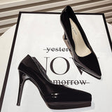 2025 Spring New Patent Leather Naked Ten Cm High Heels Women Waterproof Table With 12 Cm Pointed Women's Single Shoes HZ0115