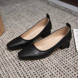 2025 Spring And Summer New Small Heels Simple Lady Temperament Soft Leather Do Not Sharpen The Tip Of The Single Shoe Low Heel High Heels HZ0115
