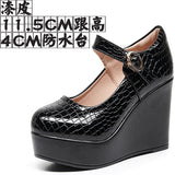 Painted Leather Stone Slope Heel Single Shoe Round Head Light Mouth Work Shoes Thick-Soled Waterproof Table Model Show High Heels Women HZ0115