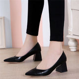 Women's Shoes 2025 New Autumn Korean Version Of The Pointed-Headed Single Shoes Women's Thick Heel Sexy High Heels Professional Shoes HZ0115