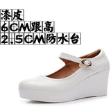 Painted Leather Stone Slope Heel Single Shoe Round Head Light Mouth Work Shoes Thick-Soled Waterproof Table Model Show High Heels Women HZ0115