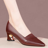 Vintage Pointed Light Mouth Heel Single Shoes Women's Coarse Leather Shoes 2025 Spring And Autumn New Fashion Large Size Women's Shoes HZ0115