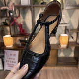 Light Luxury Small Retro Spring New Women's Shoes Sandals Wearing Pointed Single Shoes HZ0115