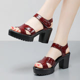 Painted Leather High Heel Waterproof Sandals Women Fashion Crocodile Pattern Walking Shoes Summer Coarse Heel Magic Sticky H Women's Shoes HZ0115