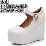 Painted Leather Stone Slope Heel Single Shoe Round Head Light Mouth Work Shoes Thick-Soled Waterproof Table Model Show High Heels Women HZ0115