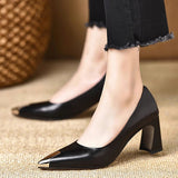 French Metal Sharp-Pointed Temperament Coarse Heel Single Shoe Women 2025 Autumn New One-Legged Comfortable Leather Shoes HZ0115