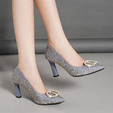 Autumn 2025 New Temperament Fashion Tip High Heels Women's Fashion Folds Side Shallow Mouth Coarse Heel Single Shoes HZ0115