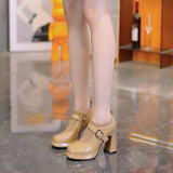 High-Heeled Fashion Boots Women 2025 Autumn And Winter New Flying Deep Mouth Comfortable Side Zipper Temperament Waterproof Table Women Shoes HZ0115