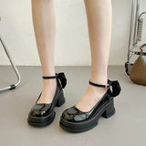 Mary Jane Shoes Women Spring And Autumn New High Heels French Coarse Heel Shoes Thick Sole Small Leather Shoes HZ0115