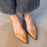 French Shallow Single Shoes 2025 Summer New Temperament In The Empty Tip Of The Retro Pedal High Heels Woman HZ0115