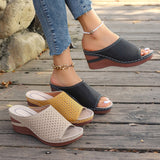 Sandals Women Large-Size Slopes And Summer New Fish Mouth Hollow Breathable Wear Thick-Bottomed Slippers Women HZ0115