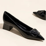 Temperament Net Red Fashion Sharp Thick Heel Single Shoes Women 2025 New Shallow-Mouthed Comfortable Career Heel High Heels HZ0115