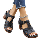 Sandals Women 2025 Summer New Solid Color Fish Mouth Thick Heel With High-Heeled Sandals HZ0115