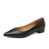 Simple Pointed Light-Mouthed Square Heel Small Leather Shoes Women Business And Leisure Elegant Commute Single Shoes Fashion High Heels Women Four Seasons HZ0115