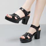 Painted Leather High Heel Waterproof Sandals Women Fashion Crocodile Pattern Walking Shoes Summer Coarse Heel Magic Sticky H Women's Shoes HZ0115