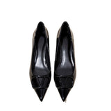Temperament Net Red Fashion Sharp Thick Heel Single Shoes Women 2025 New Shallow-Mouthed Comfortable Career Heel High Heels HZ0115