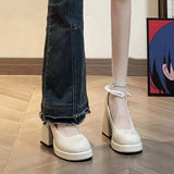 Thick Bottom French Mary Jane Shoes Women High Heel Niche Design Temperament High-End Feel Lolita Coarse Leather Shoes Women Shoes HZ0115