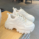 Thick-Bottomed Black Sneakers Women's 2026 Spring New Pine Cake Lace Casual Single Shoes Fashion Old Dad Shoes HZ0115