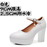 Anti-Slip 6Cm Silver Heeled Show Shoes Thick-Singing Leather Shoes Thick-Soled Model Single-Shoe Large-Size Working Shoes HZ0115