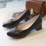 Coarse Heel Single Shoes Women 2025 New Spring And Summer Small Fragrant Wind Soft Leather Soft Sole Commuting Women's Shoes Square Head Gentle Mary Jane Shoes HZ0115