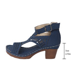 Large-Size Women's Shoes 2025 Summer New Coarse Heel High-Heeled Shoes Hollow Fish Mouth Sandals Women HZ0115