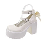 High-Heeled Mary Jane Shoes Women's New JK Small Leather Shoes In The Spring Of 2025 With Round Head Coarse Heel Shoes HZ0115