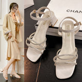 Water Drill Sandals In Women's Sandals 2025 Summer New Thick Heel With Buckle Fairy Wind Toess Sandals HZ0115